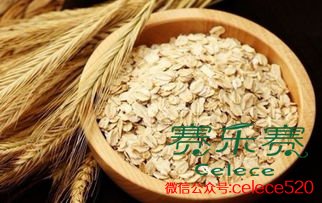 燕麦减肥,秋季减肥,燕麦